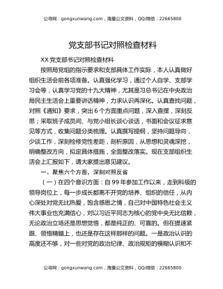 党支部书记对照检查材料