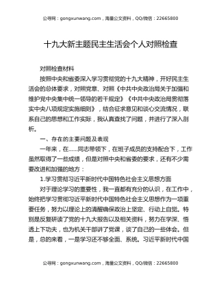 十九大新主题民主生活会个人对照检查