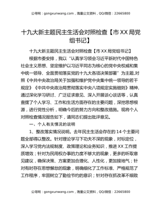 十九大新主题民主生活会对照检查【市XX局党组书记】