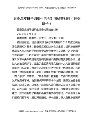 县委总支班子组织生活会对照检查材料（县委班子）