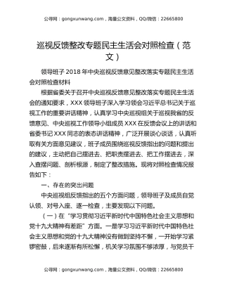 巡视反馈整改专题民主生活会对照检查（范文）