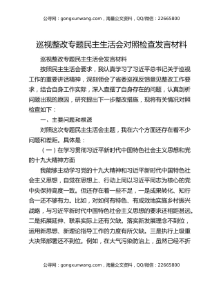 巡视整改专题民主生活会对照检查发言材料