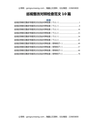 巡视整改对照检查范文10篇