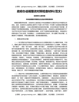 政府办巡视整改对照检查材料(范文)