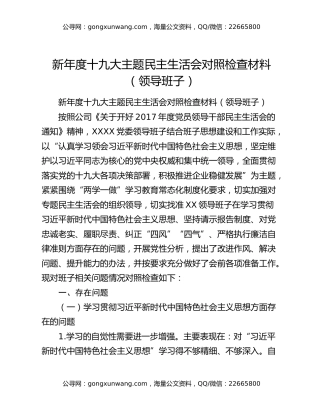 新年度十九大主题民主生活会对照检查材料（领导班子）