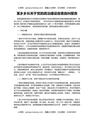 某乡乡长关于党的政治建设自查自纠报告