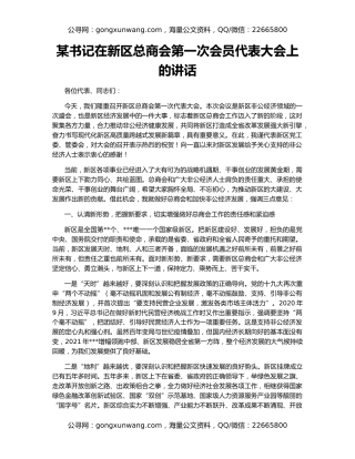 某书记在新区总商会第一次会员代表大会上的讲话
