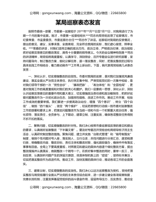 某局巡察表态发言