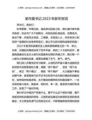 某市委书记2023年新年贺词