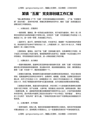 某镇“五星”党支部创建工作汇报