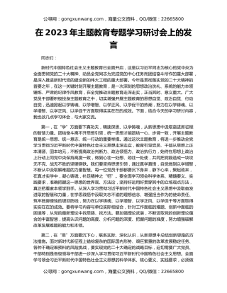 在2023年主题教育专题学习研讨会上的发言