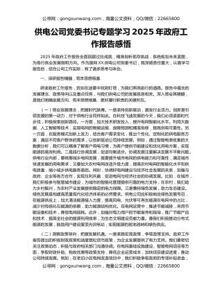 供电公司党委书记专题学习2025年政府工作报告感悟