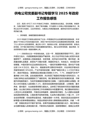 供电公司党委副书记专题学习2025年政府工作报告感悟