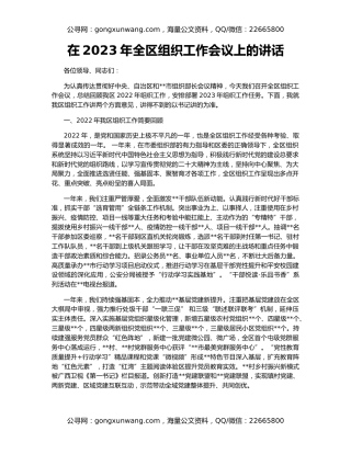 在2023年全区组织工作会议上的讲话