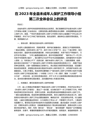 在2023年全县未成年人保护工作领导小组第二次全体会议上的讲话
