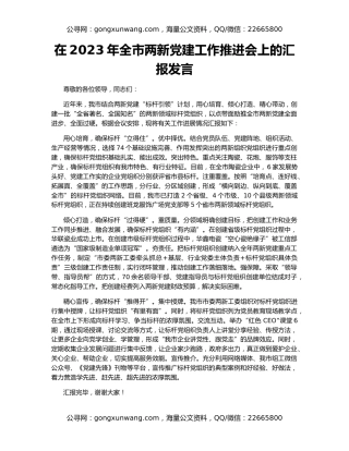 在2023年全市两新党建工作推进会上的汇报发言