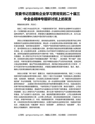 党委书记在国有企业学习贯彻党的二十届三中全会精神专题研讨班上的发言