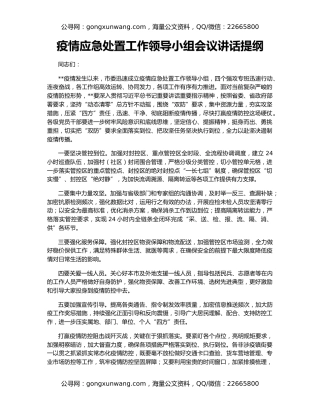 疫情应急处置工作领导小组会议讲话提纲