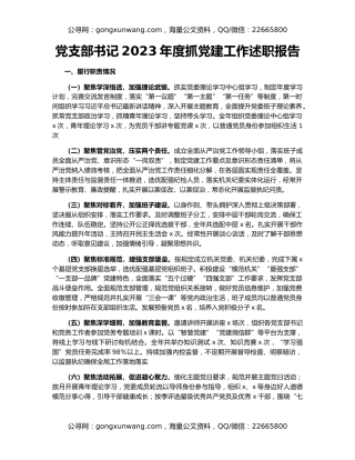 党支部书记2023年度抓党建工作述职报告