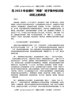 在2023年全镇村“两委”班子集中轮训培训班上的讲话