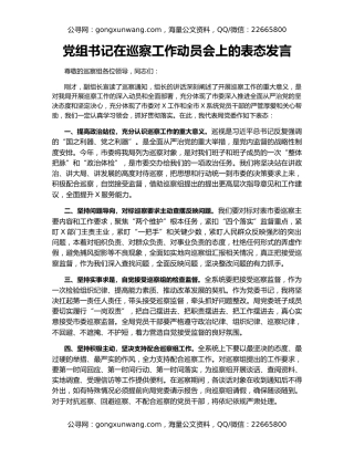 党组书记在巡察工作动员会上的表态发言