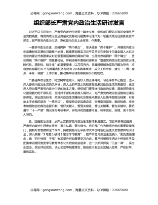 组织部长严肃党内政治生活研讨发言（2）