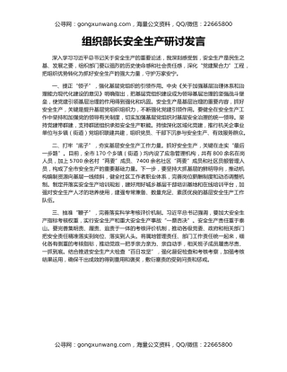 组织部长安全生产研讨发言