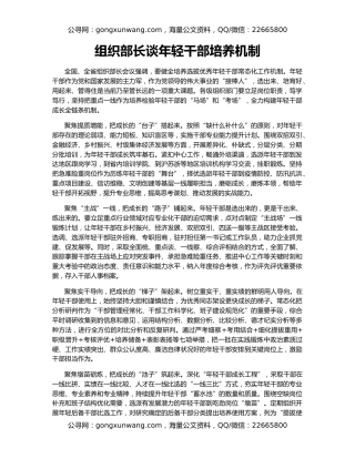 组织部长谈年轻干部培养机制