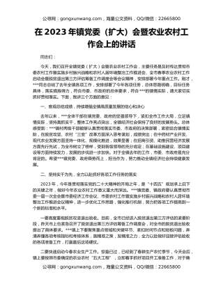 在2023年镇党委（扩大）会暨农业农村工作会上的讲话
