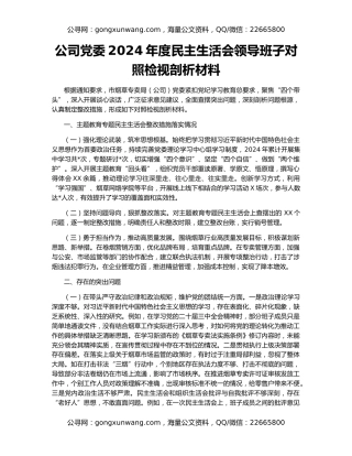 公司党委2024年度民主生活会领导班子对照检视剖析材料