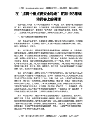 在“抓两个重点促安全稳定”正副书记集训动员会上的讲话