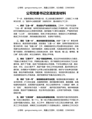 公司党委书记交流发言材料