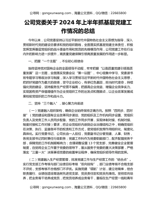 公司党委关于2024年上半年抓基层党建工作情况的总结