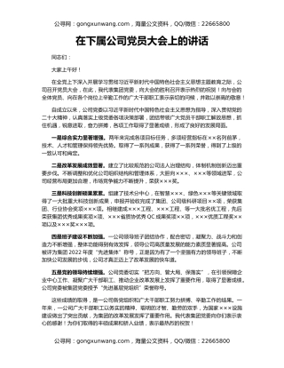 在下属公司党员大会上的讲话