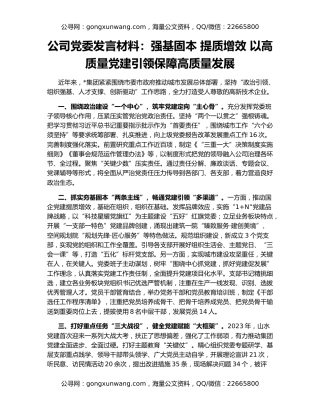 公司党委发言材料：强基固本 提质增效 以高质量党建引领保障高质量发展
