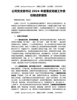 公司党支部书记 2024 年度落实党建工作责任制述职报告