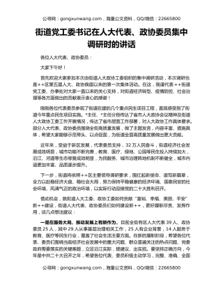 街道党工委书记在人大代表、政协委员集中调研时的讲话