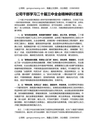 公司干部学习二十届三中全会精神研讨发言