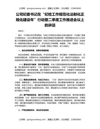 公司纪委书记在“纪检工作规范化法制化正规化建设年”行动暨二季度工作推进会议上的讲话