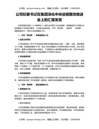 公司纪委书记在集团深化中央巡视整改推进会上的汇报发言