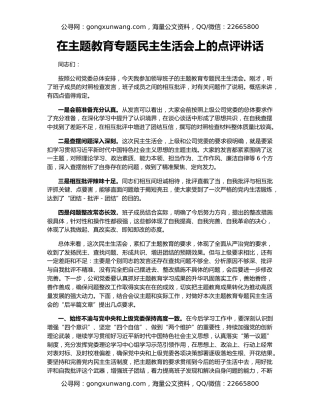 在主题教育专题民主生活会上的点评讲话