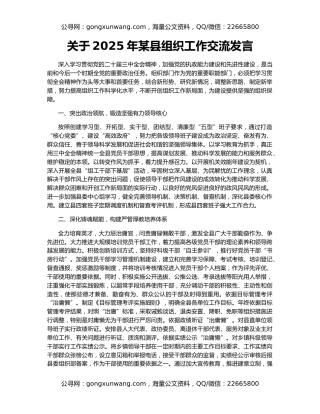 关于2025年某县组织工作交流发言