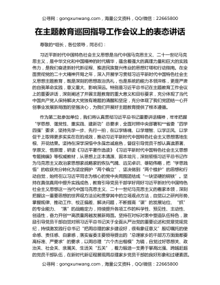 在主题教育巡回指导工作会议上的表态讲话