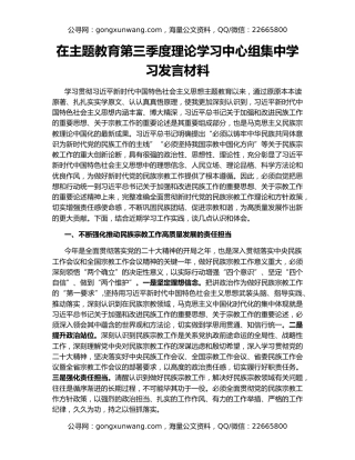 在主题教育第三季度理论学习中心组集中学习发言材料