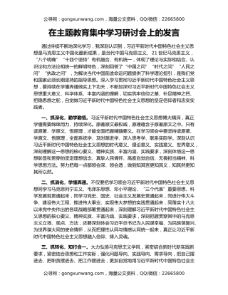 在主题教育集中学习研讨会上的发言（2）