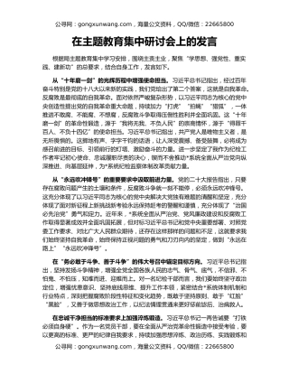 在主题教育集中研讨会上的发言（2）