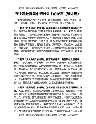 在主题教育集中研讨会上的发言（统计局）