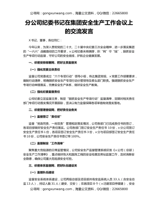 分公司纪委书记在集团安全生产工作会议上的交流发言