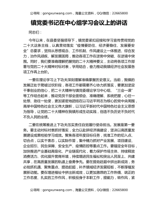 镇党委书记在中心组学习会议上的讲话