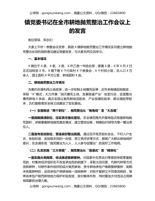 镇党委书记在全市耕地抛荒整治工作会议上的发言